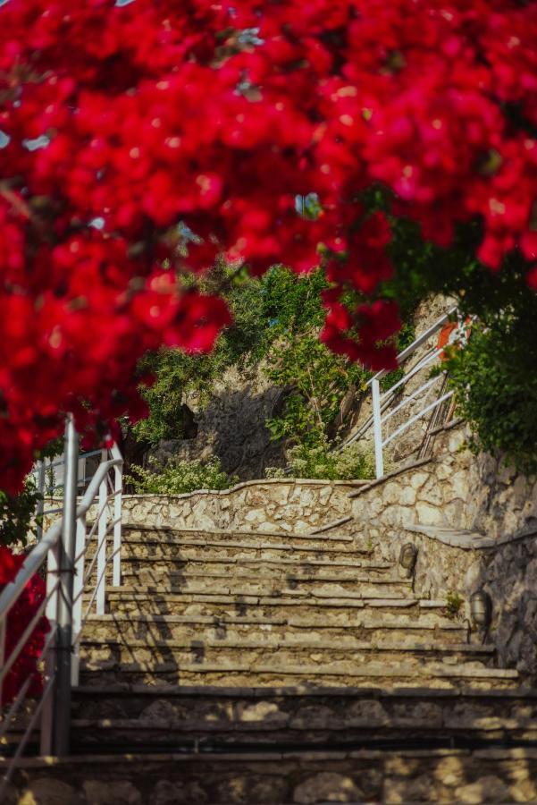Sea Mansion Lefkada Daire Nikiana Dış mekan fotoğraf